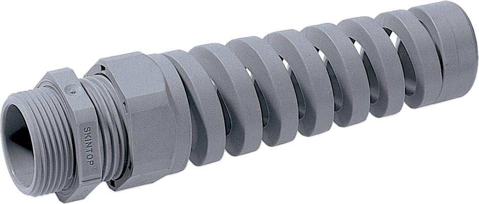 SKINTOP BS PG 16 RAL 7001 SGY<p><font color="#AAAAAA"></font></p>