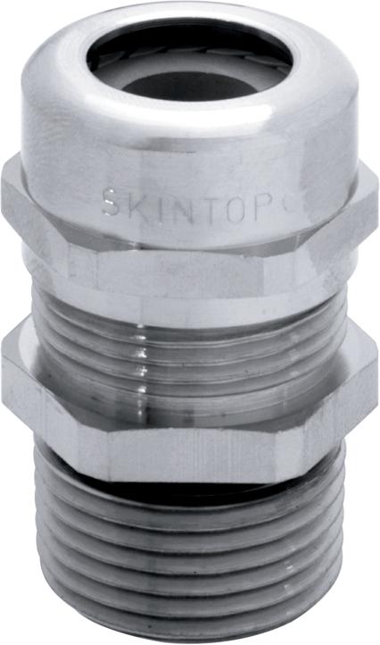 SKINTOP MS NPT 3/8<p><font color="#AAAAAA"></font></p>