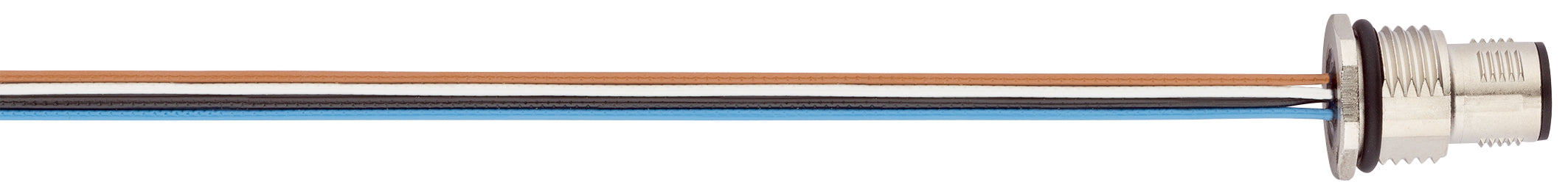 AB-C5-DSI-M12MS-PG9-0,5