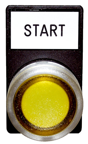 SAP Import<p><font color="#AAAAAA"></font></p>