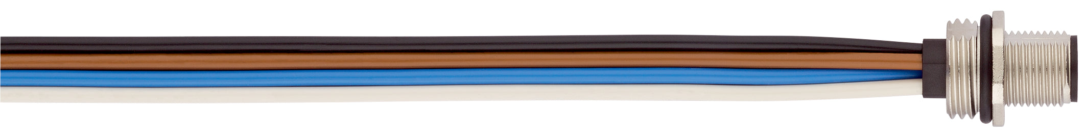 SAP_IMPORT_PRODUCT - M12 POWER - conector pentru montaj pe tablou, panou frontal