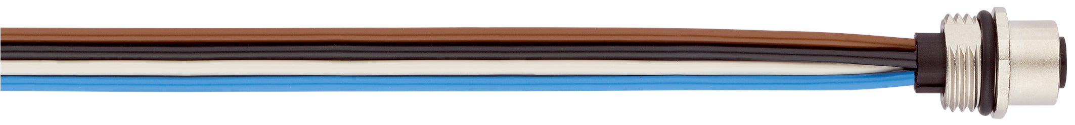 SAP_IMPORT_PRODUCT - M12 POWER - conector pentru montaj pe tablou, panou frontal