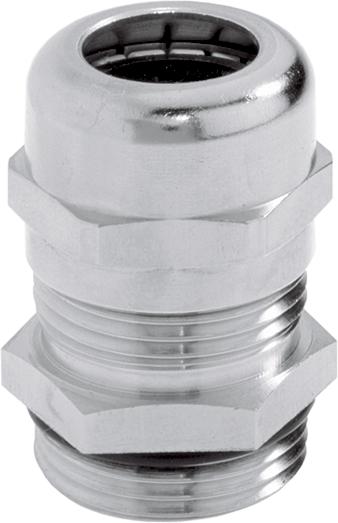 SKINTOP MS-SC PG 21